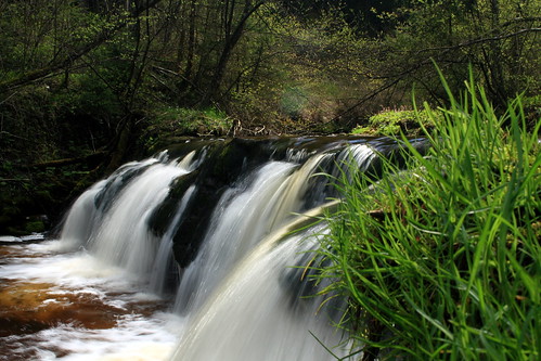 wood green water waterfall rocks