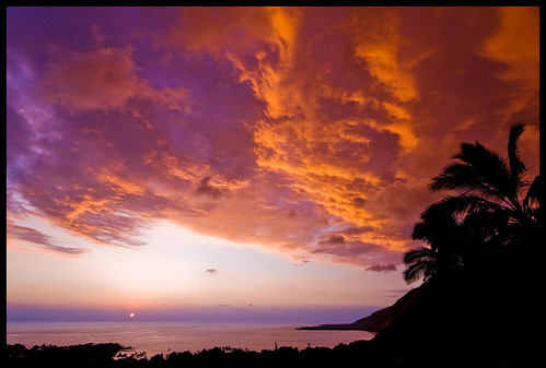 autumn sunset usa silhouette hawaii interestingness bravo bigisland kona coconutpalm naturesfinest kealakekuabay impressedbeauty 8661b