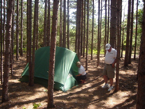 camping trees treefarm