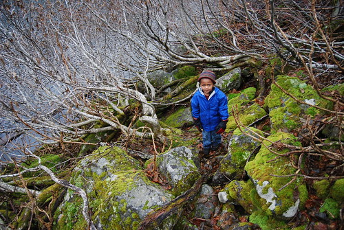 camping washington moss hiking hike milesgriffith talus alpinelakeswilderness talapuslake slidealder exit45