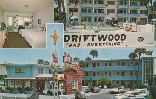 beach vintage florida postcard superior motel driftwood palmtree roomview aaa ormondbeach poolview awesomesign triview