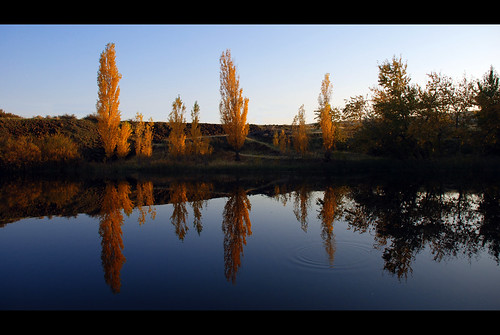 autumn trees reflection fall water landscape interestingness427 challengeyouwinner 18135mmf3556g superhearts photofaceoffwinner pfogold