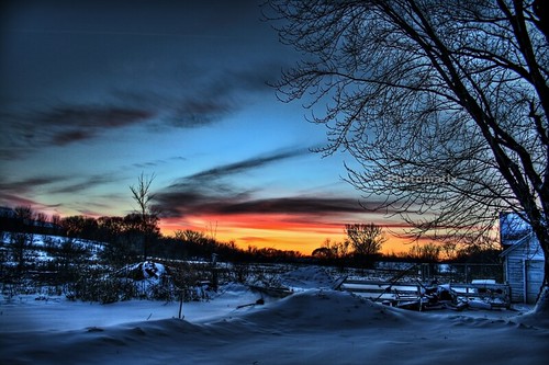 trees sunset snow cold landscape drifts hdr
