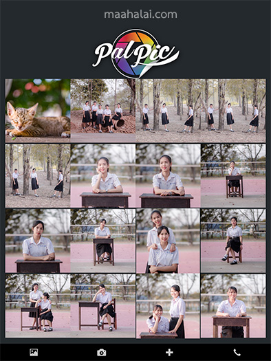 Palpic Review