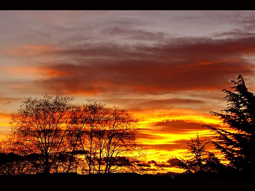 sky sunrise colourartaward artlegacy