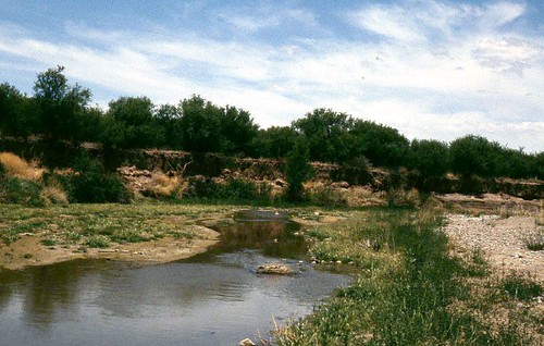 arizona water river desert sanpedroriver desertriver cochisecounty