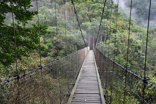 瓦拉米步道-黃麻一號吊橋