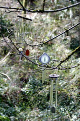 wind chimes in our backyard    MG 0065 