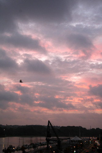 ireland cloud color bird water car clouds sunrise river october waterford 2007