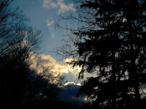 blue trees sunset sky sun ny newyork home nature silhouette clouds dark landscape grandmashouse grandmas
