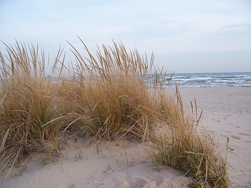 sand dunes lakemichigan rare kohlerandraestatepark sheboyganwisconsin