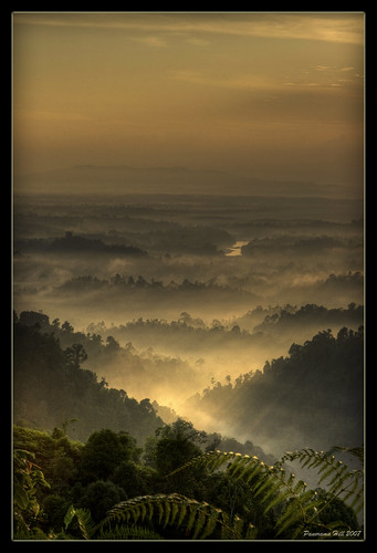 morning trees panorama fog sunrise canon hill malaysia pahang firstquality canon2470mm sungailembing 400d flickrplatinium holidaysvacanzeurlaub bratanesque