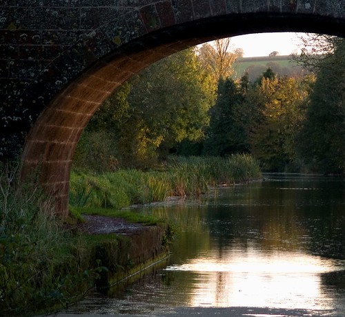 bridge autumn sunset canal halberton