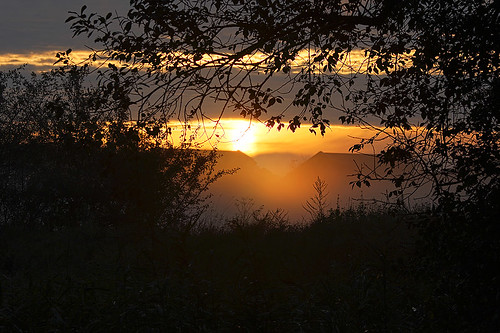 fog sunrise soluppgång dimma bjärred lomma naturreservat fågelskådning gryning löddeå lommakommun löddeåsmynning höstmorgon
