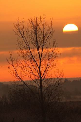 uk sunset red sky orange color colour tree nature water sunrise fen cambridgeshire cambs lakenheath bobhall