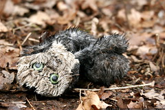 abandoned owl puppet    MG 8824 