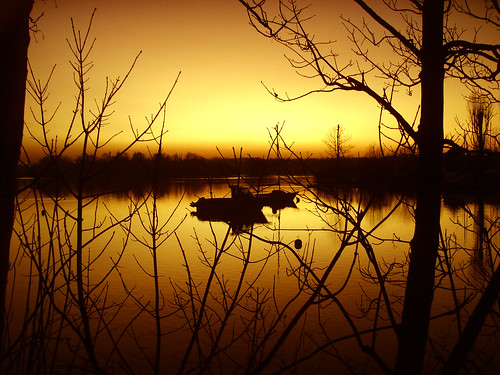 sunset lake boat lac bateau couchédesoleil valenciennes soleilcouchant