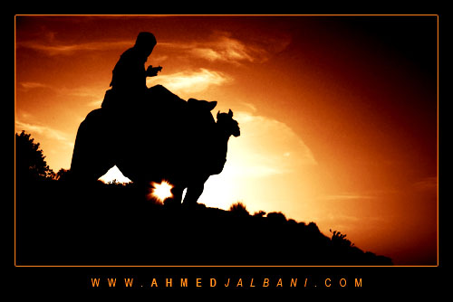 pakistan sunrise desert camel sindh thar flickrsbest ahmedjalbani