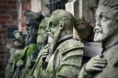 krakow: the cat among the saints