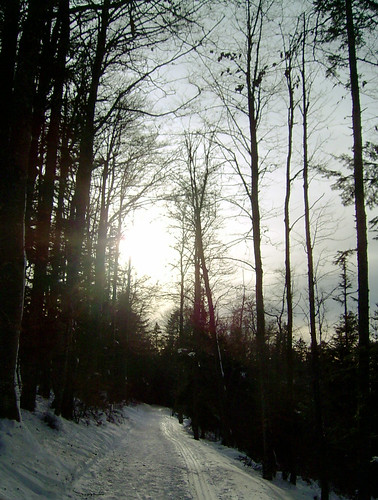 trees winter light sunset snow lumière hiver arbres jura neige forêt superbmasterpiece diamondclassphotographer flickrdiamond ysplix
