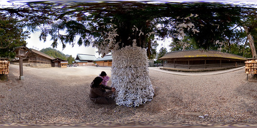 panorama tree japan shrine handheld shimane shinto 360x180 omikuji izumotaisha equirectangular panotool