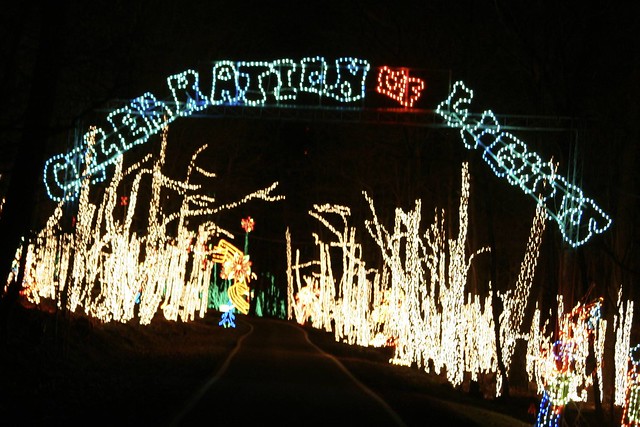 celebration of lights | Flickr - Photo Sharing!