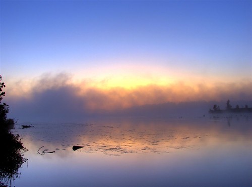 trees lake seascape reflection water fog reflections river mirror shine hdr flickrsbest scenicsnotjustlandscapes snerey