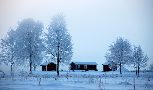 morning winter snow cold sweden places villages myfavorites juoksengi