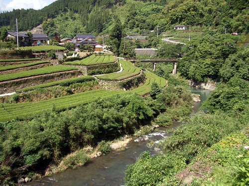 japan landscape scenery tea izumi kumamoto 田舎 yatsushiro