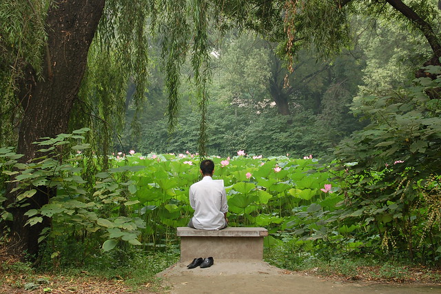 meditation from Flickr via Wylio