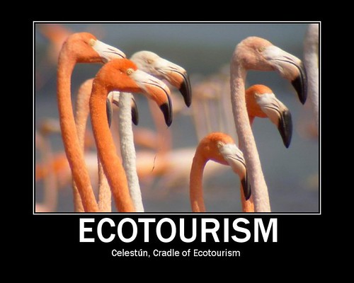 Cradle of Ecotourism