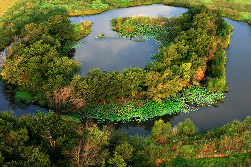 water landscape pond texas aerialphotography hotairballooning anawesomeshot colorphotoaward overtheshot