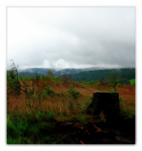 rain fog trekking germany schwarzwald blackforest wandern wanderung westweg crossingtheblackforest