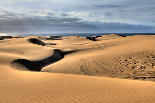 Sand Dunes in Gran Canaria