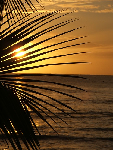 sunsets beaches caribbean tobago cfg