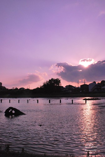 sunset japan river shirakawa traveljapan nikond60 asomountain riversinjapan riversinkumamoto riversinkyushu travelkyushy