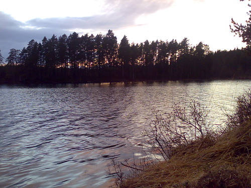 sunset lake tree water mobile geotagged vatten träd solnedgång sjö geo:lon=1471274 geo:lat=5890967