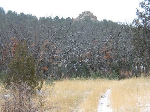 winter landscape shelfroad