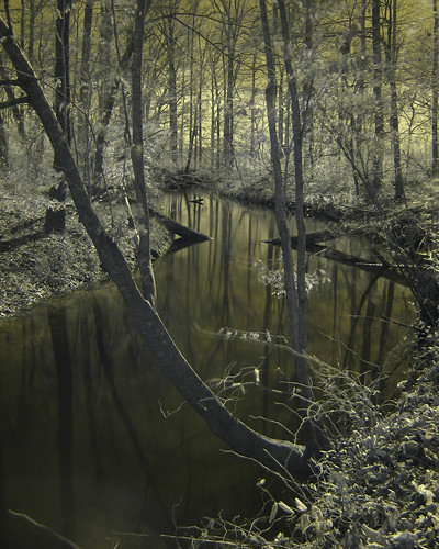 reflection creek ir stream calm infrared serene refuge noxubee noxubeenationalwildliferefuge loakfomacreek