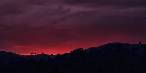 carwoola taliesinhill bushfire clouds fire silhouette sky sunset