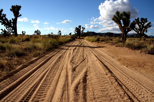 california road usa digital canon geotagged eos rebel desert offroad 4x4 trail mojave northamerica joshuatrees californie sanbernardinocounty mojavenationalpreserve mojaveroad xti geo:lat=351355365251655 geo:lon=115177384843046