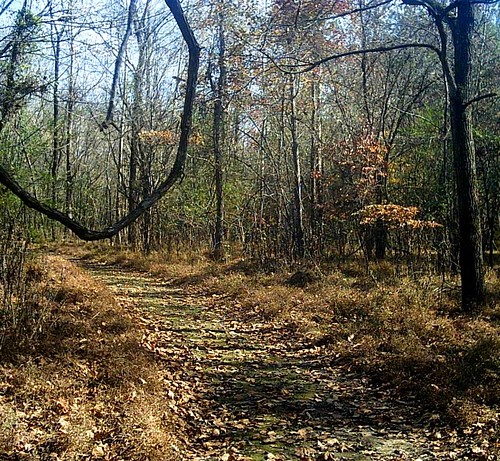 park rock forest nc state vine trail raven