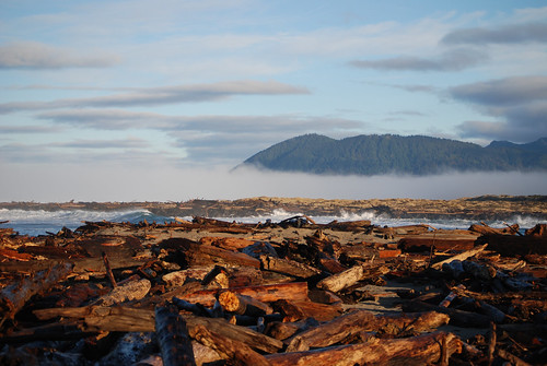 beach oregon sunrise logs rockaway