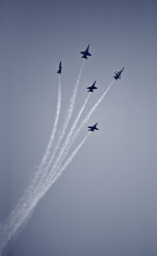 blue florida jets angels jacksonville flyers usnavy stunt anawesomeshot aplusphoto scenicsnotjustlandscapes airseaspectacular