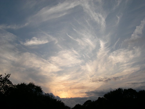 sunset sky tree clouds woodland pontrydfendigaid