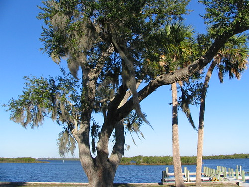 trees sunset geotagged florida parks harbourheights