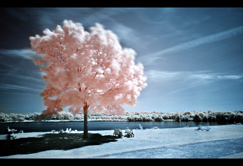 park longexposure pink blue summer lake tree wales relax geotagged ir bestof infrared daytime f5 penarth 30sec cosmeston 40d geo:lat=51417156 geo:lon=3186802 koodr7277mm