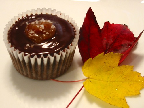 A red wine cupcake posing with some flashy leaves