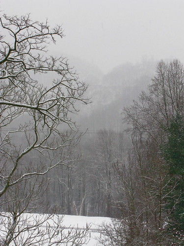 winter mountain snow fog forest canon woods january redhill frontyard quarry g9 albemarlecounty centralvirginia