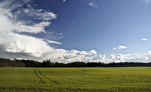 blue green field grass clouds forest landscape denmark skies 2008 danmark danmörk lightroom landslag capturenx hingeballe nikond300